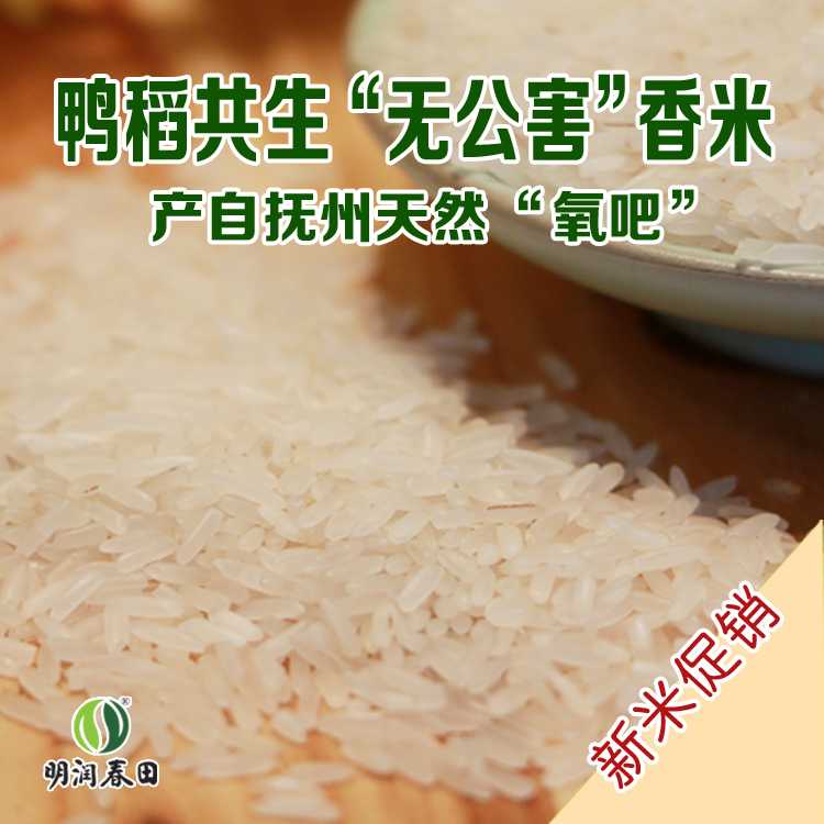 暂时无法显示